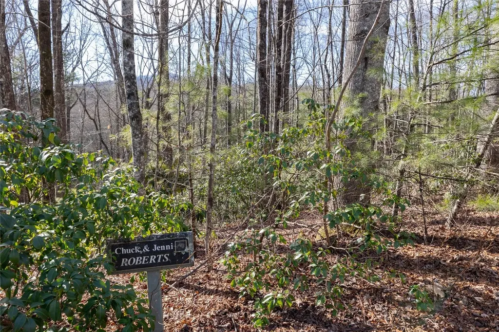 15C-R Boiling Springs Road Sapphire NC 28774