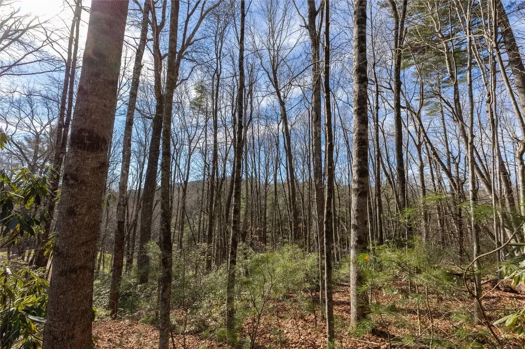 15C-R Boiling Springs Road Sapphire NC 28774