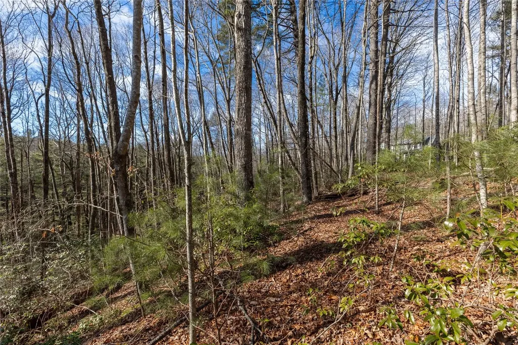 15C-R Boiling Springs Road Sapphire NC 28774