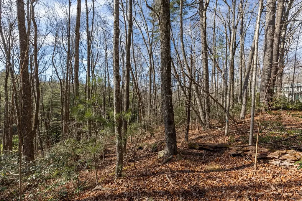 15C-R Boiling Springs Road Sapphire NC 28774