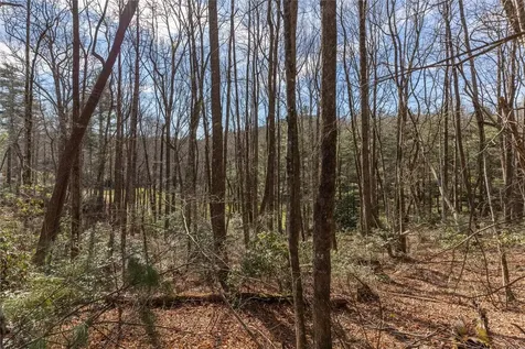 15C-R Boiling Springs Road Sapphire NC 28774