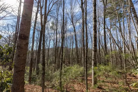 15C-R Boiling Springs Road Sapphire NC 28774