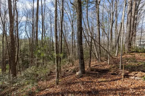 15C-R Boiling Springs Road Sapphire NC 28774