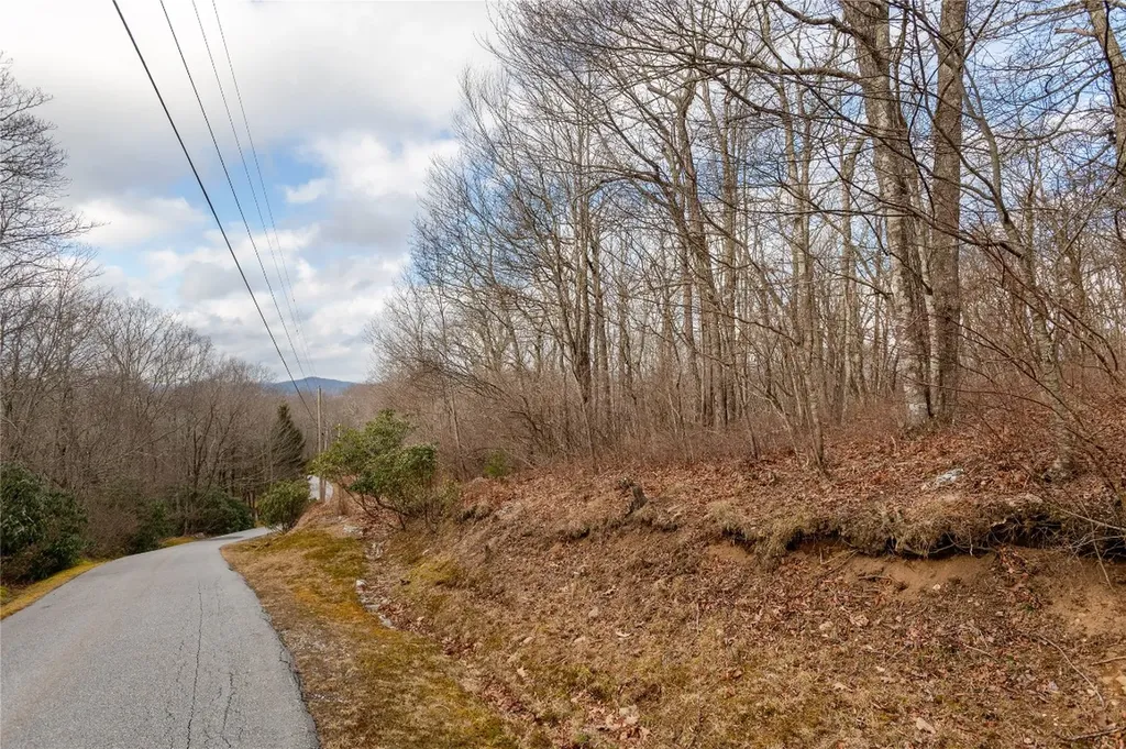 Lot 51 Tower Road Sapphire NC 28774