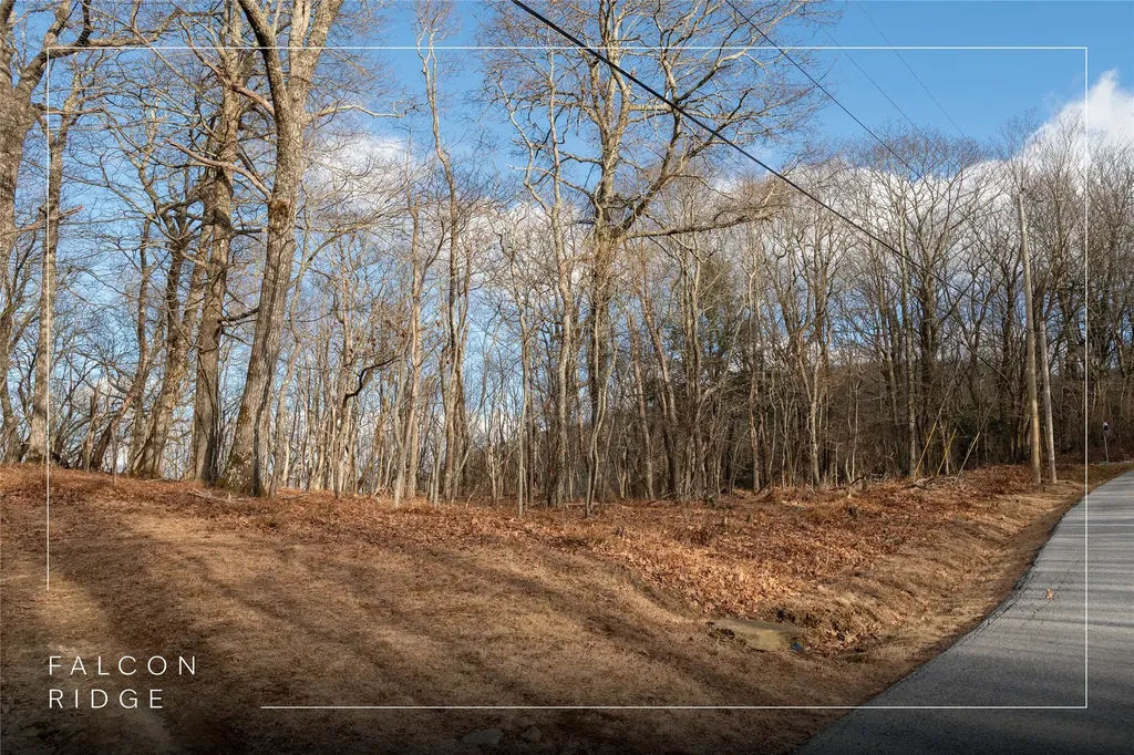 Lot 51 Tower Road Sapphire NC 28774