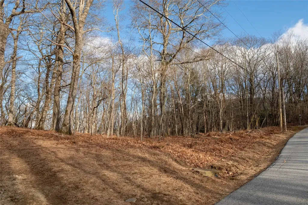 Lot 51 Tower Road Sapphire NC 28774