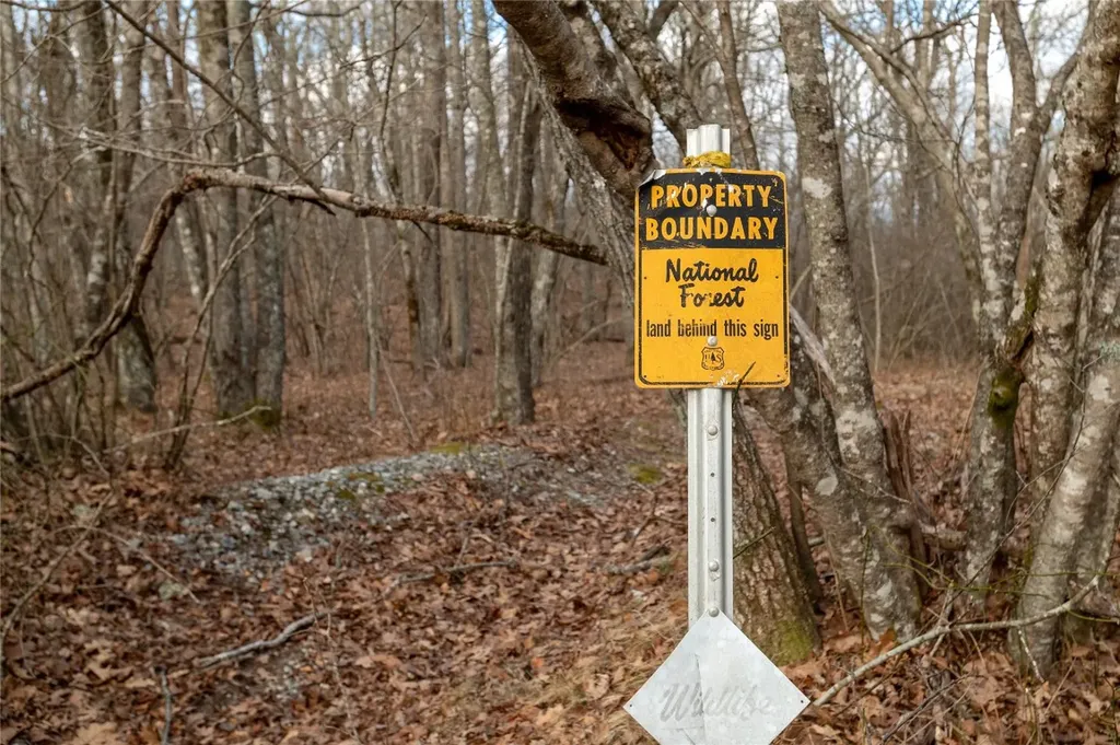 Lot 51 Tower Road Sapphire NC 28774