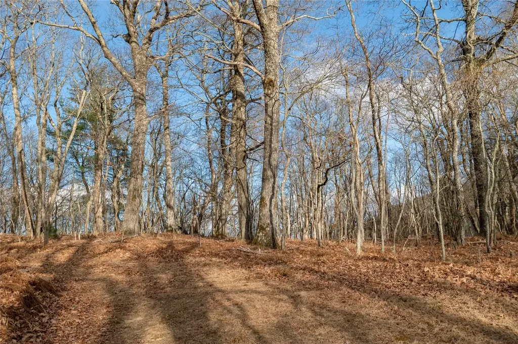 Lot 51 Tower Road Sapphire NC 28774