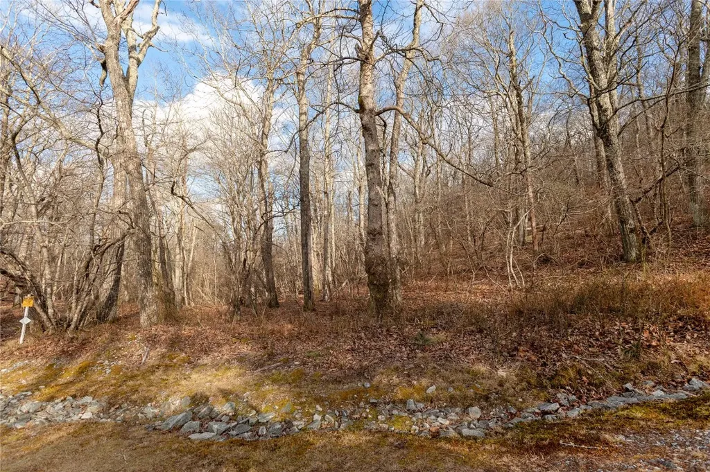 Lot 51 Tower Road Sapphire NC 28774