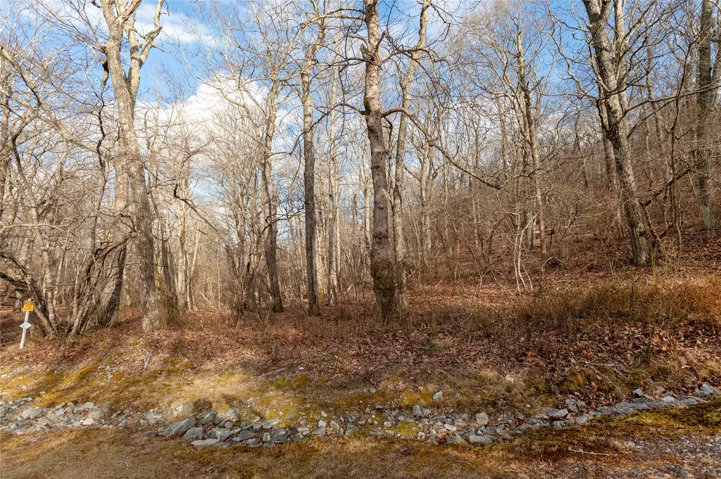 Lot 51 Tower Road Sapphire NC 28774