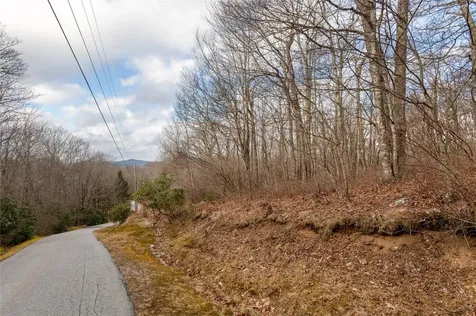 Lot 51 Tower Road Sapphire NC 28774