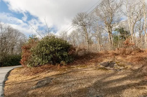 Lot 51 Tower Road Sapphire NC 28774
