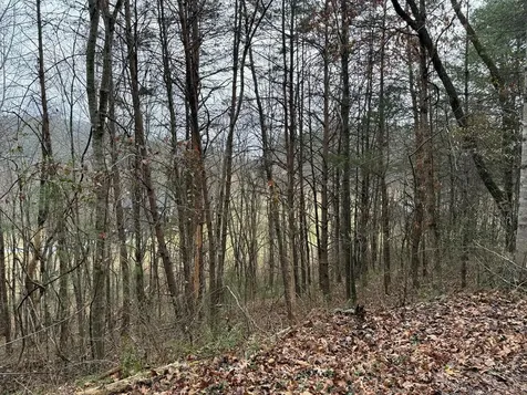 Lot 29 Ideal Acres Otto NC 28763
