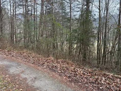 Lot 29 Ideal Acres Otto NC 28763