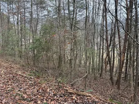Lot 29 Ideal Acres Otto NC 28763