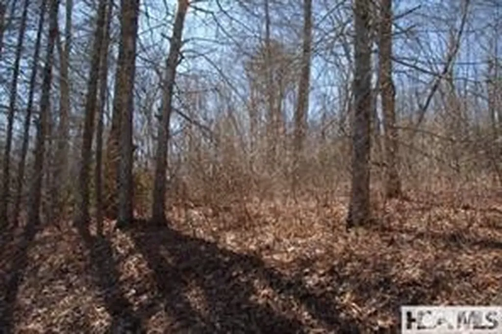 Tbd Center Drive Highlands NC 28741