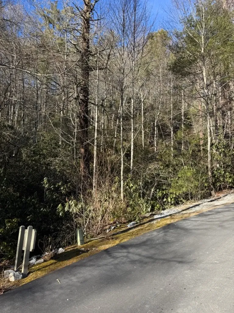 7 Wandering Ridge Glenville NC 28736