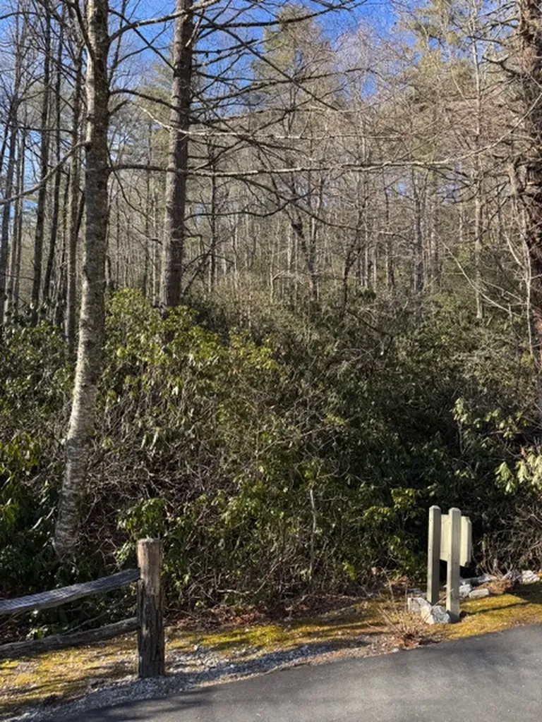 7 Wandering Ridge Glenville NC 28736