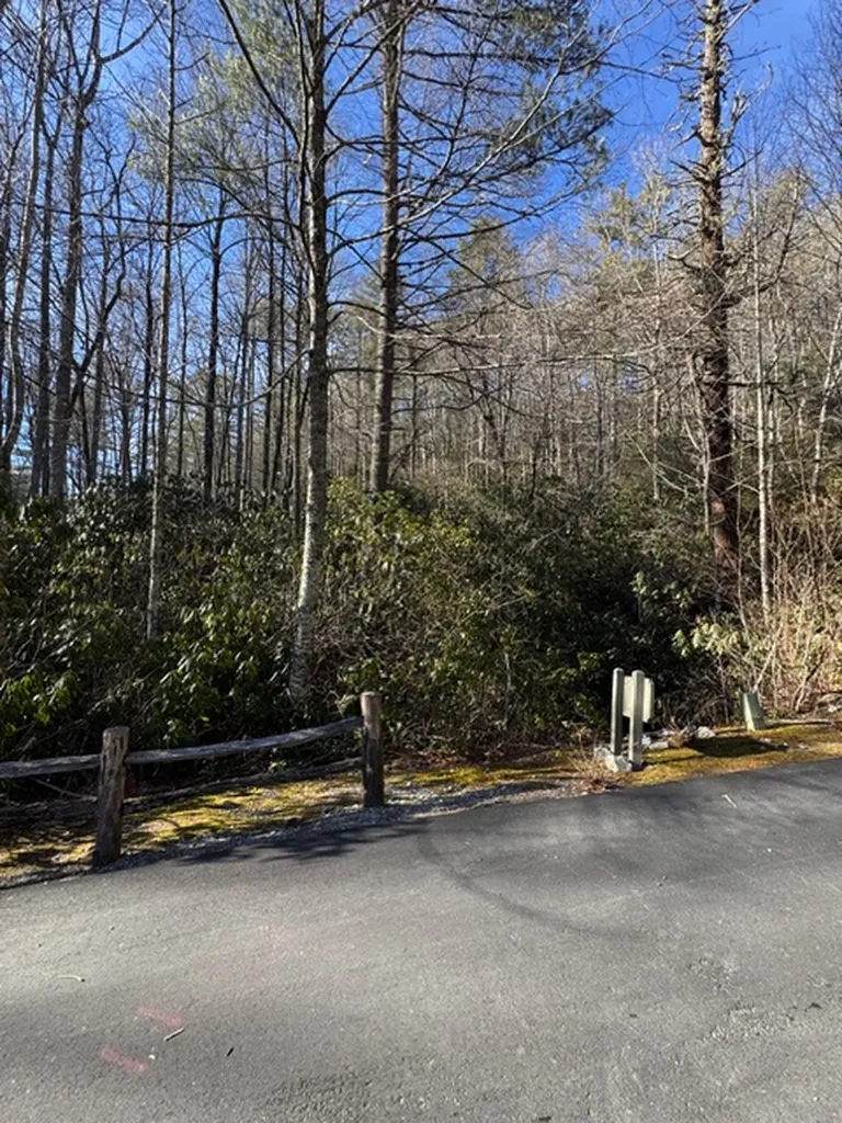 7 Wandering Ridge Glenville NC 28736