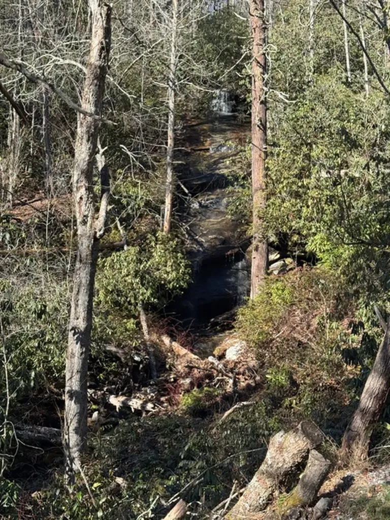 7 Wandering Ridge Glenville NC 28736