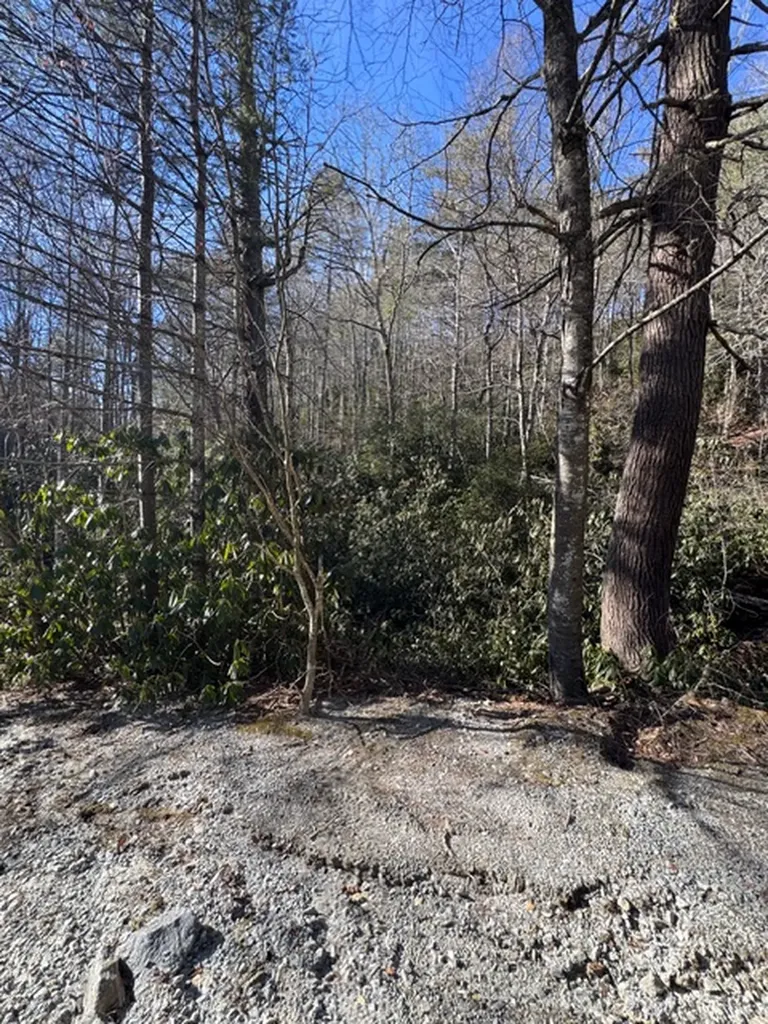 7 Wandering Ridge Glenville NC 28736