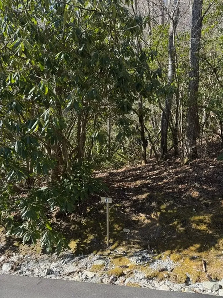 7 Wandering Ridge Glenville NC 28736