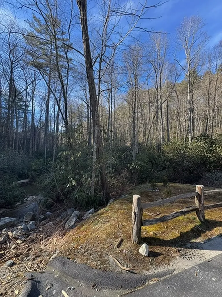 7 Wandering Ridge Glenville NC 28736