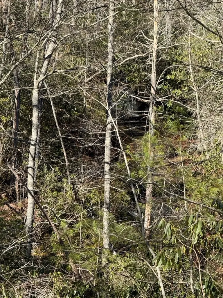 7 Wandering Ridge Glenville NC 28736