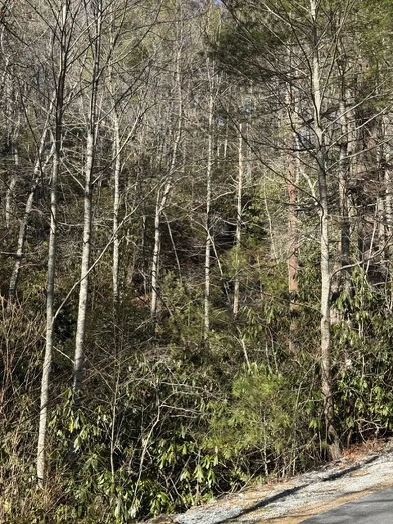 7 Wandering Ridge Glenville NC 28736