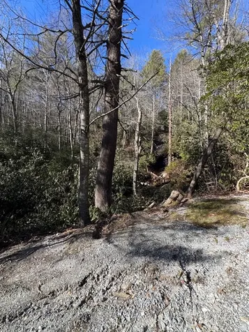 7 Wandering Ridge Glenville NC 28736