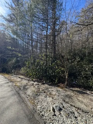 7 Wandering Ridge Glenville NC 28736