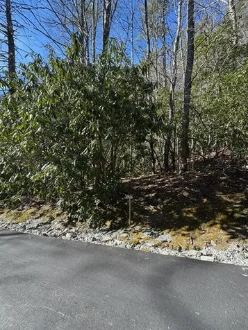 7 Wandering Ridge Glenville NC 28736