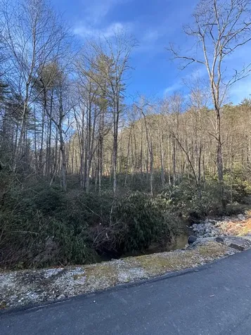7 Wandering Ridge Glenville NC 28736