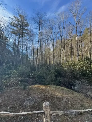 7 Wandering Ridge Glenville NC 28736