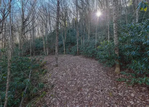 00 Falls Drive West Highlands NC 28741