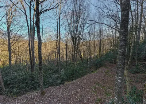 00 Falls Drive West Highlands NC 28741