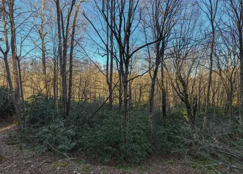 00 Falls Drive West Highlands NC 28741