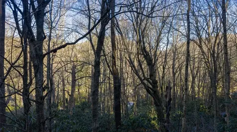 00 Falls Drive West Highlands NC 28741