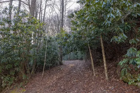 00 Falls Drive West Highlands NC 28741