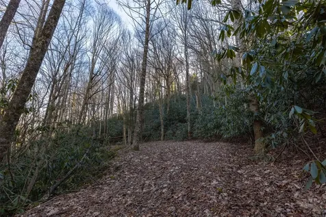 00 Falls Drive West Highlands NC 28741