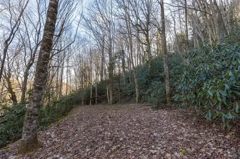 00 Falls Drive West Highlands NC 28741