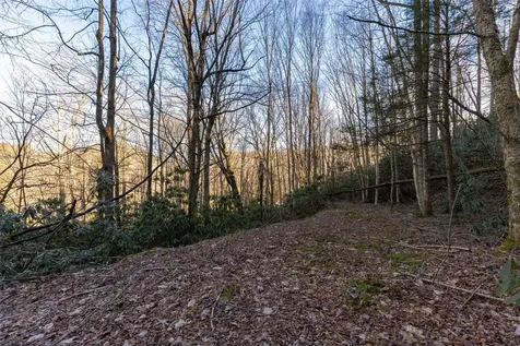 00 Falls Drive West Highlands NC 28741