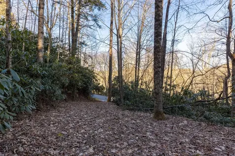 00 Falls Drive West Highlands NC 28741