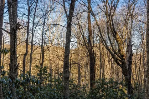 00 Falls Drive West Highlands NC 28741