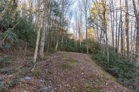 00 Falls Drive West Highlands NC 28741