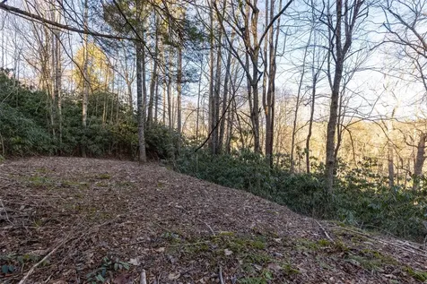 00 Falls Drive West Highlands NC 28741