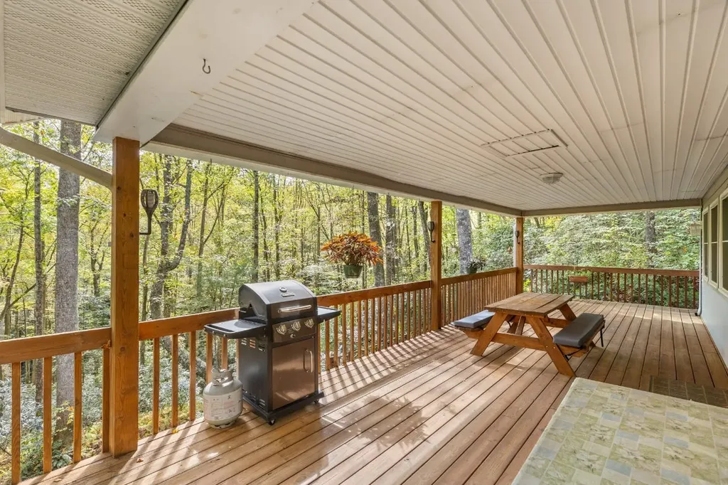 62 Beech Court Sapphire NC 28774