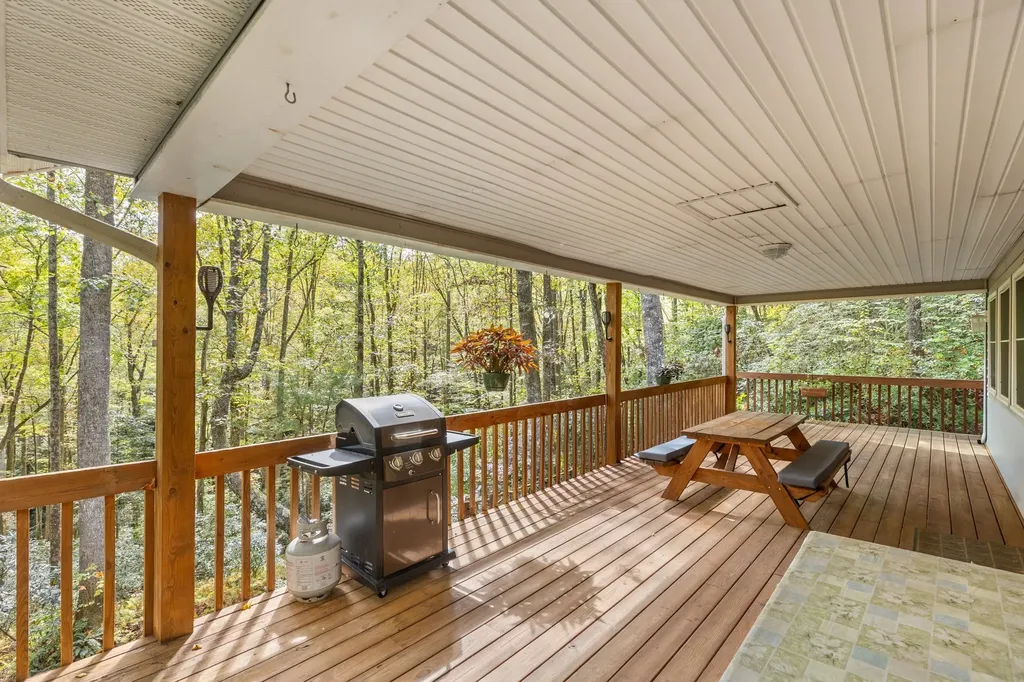 62 Beech Court Sapphire NC 28774