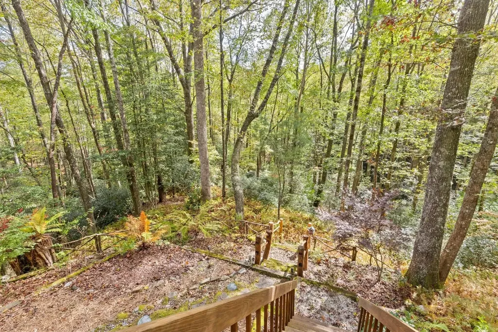 62 Beech Court Sapphire NC 28774