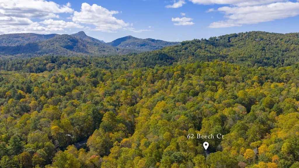 62 Beech Court Sapphire NC 28774
